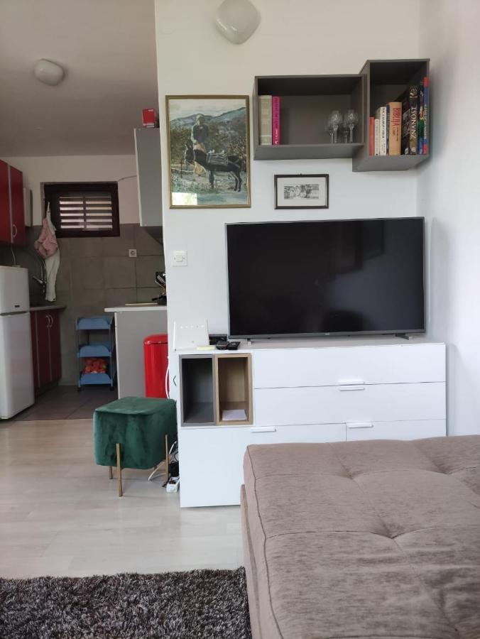 Apartments Dara ロゴズニッツァ エクステリア 写真