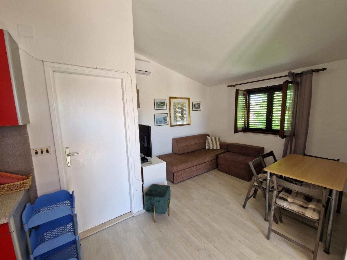 Apartments Dara ロゴズニッツァ エクステリア 写真